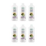 [Lot de 6] Gel à Boire Açaï Pro Summer