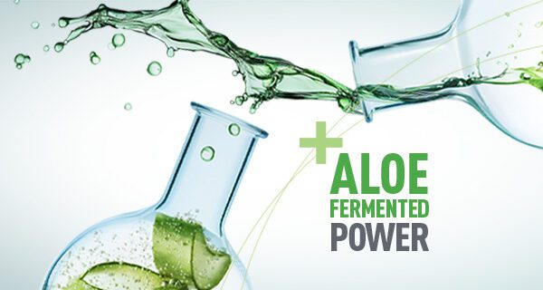🧪Le pouvoir de l'Aloe Fermenté
