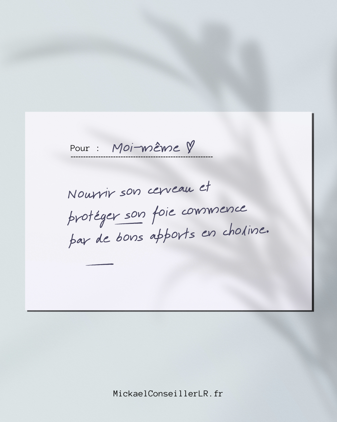Nourrir son cerveau et protéger son foie commence par de bons apports en choline