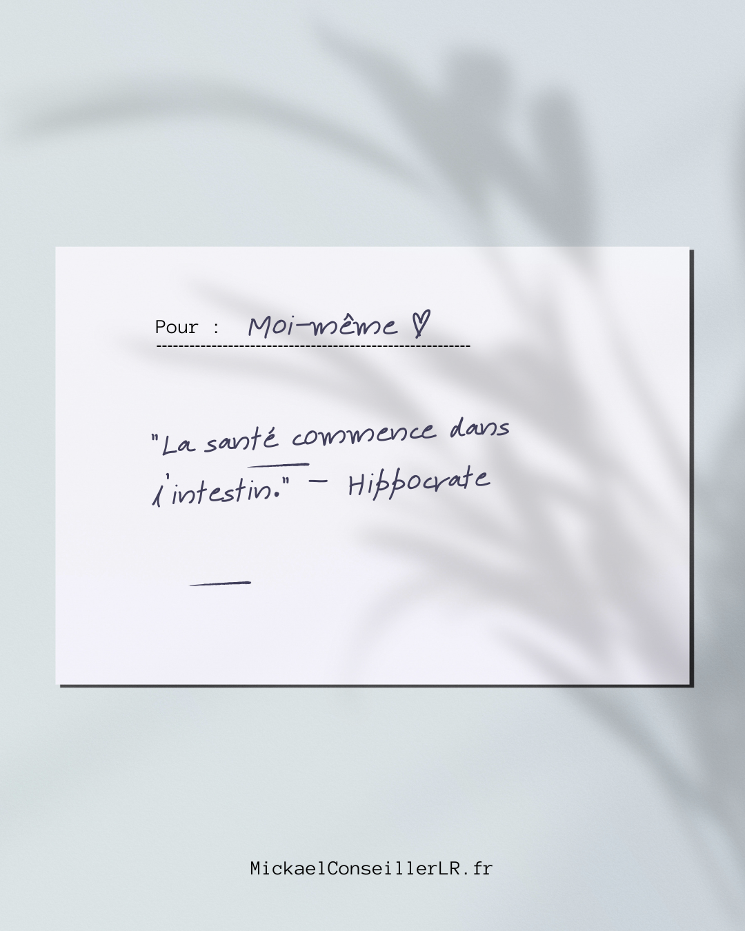 "La santé commence dans l’intestin." – Hippocrate